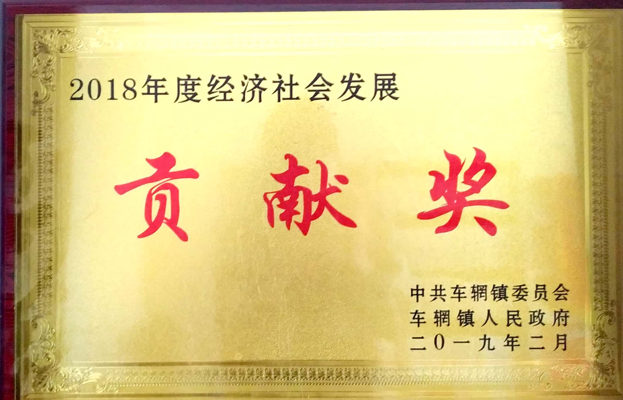 2018年度經(jīng)濟(jì)社會發(fā)展貢獻(xiàn)獎.jpg